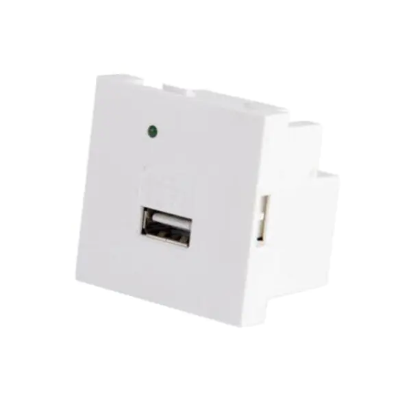 Typ A Usb Chargeur Socket Modul mat glatem Panel